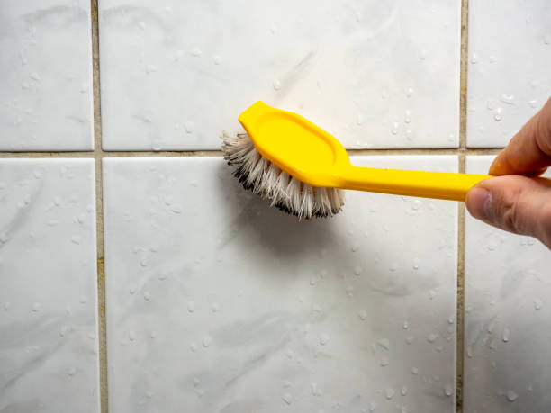 Best Affordable Mold Removal  in Gleed, WA