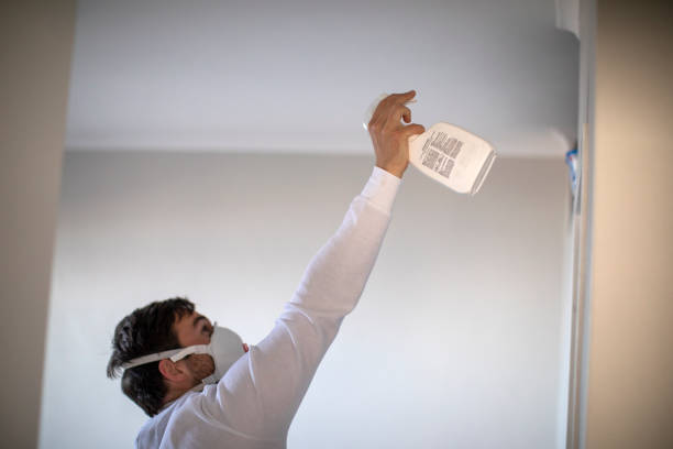 Best Mold Removal Near Me  in Gleed, WA