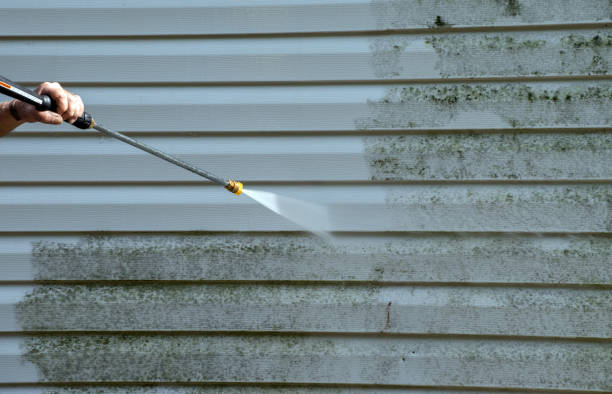 Mold Removal and Inspection in Gleed, WA