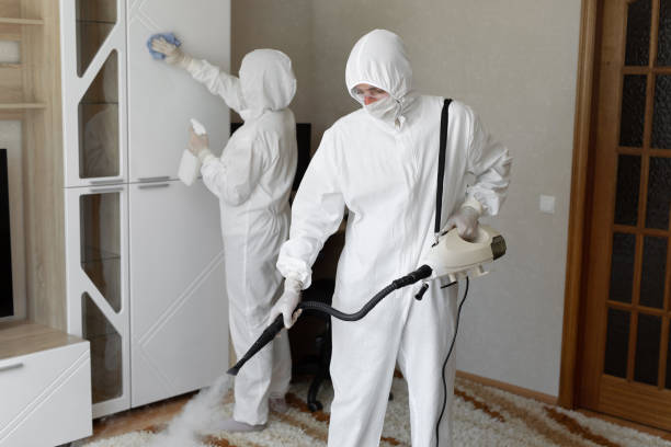 Best Mold Damage Repair  in Gleed, WA