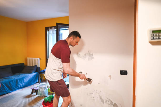 Trusted Gleed, WA Mold Removal Experts