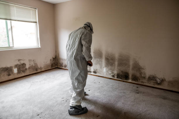 Best Mold Remediation  in Gleed, WA