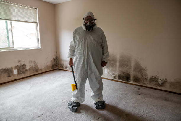Home Mold Removal in Gleed, WA