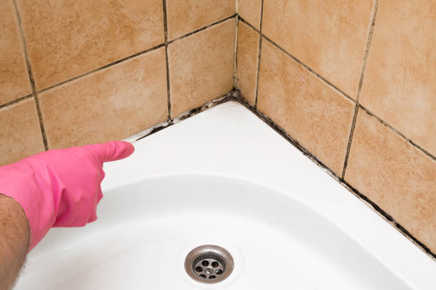 Best Mold Testing and Removal  in Gleed, WA